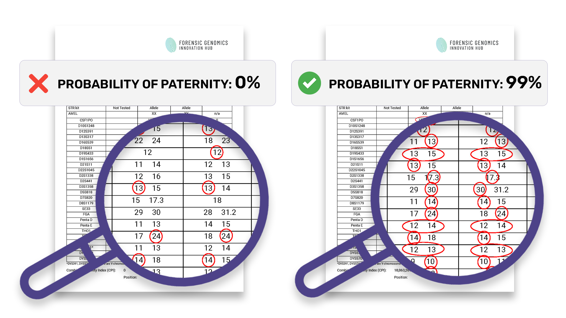 paternity-dna-test-results
