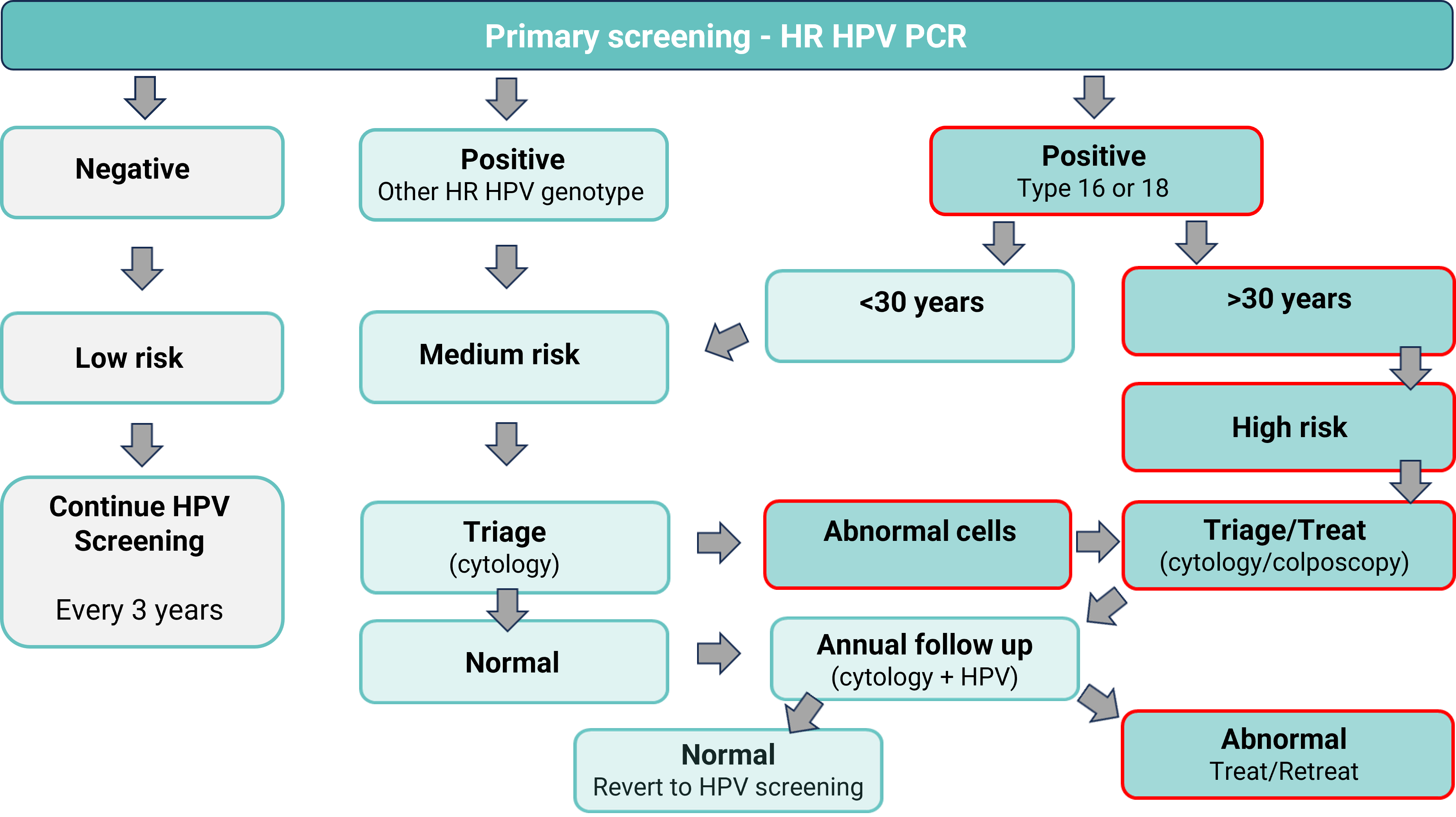 HPV screening result options