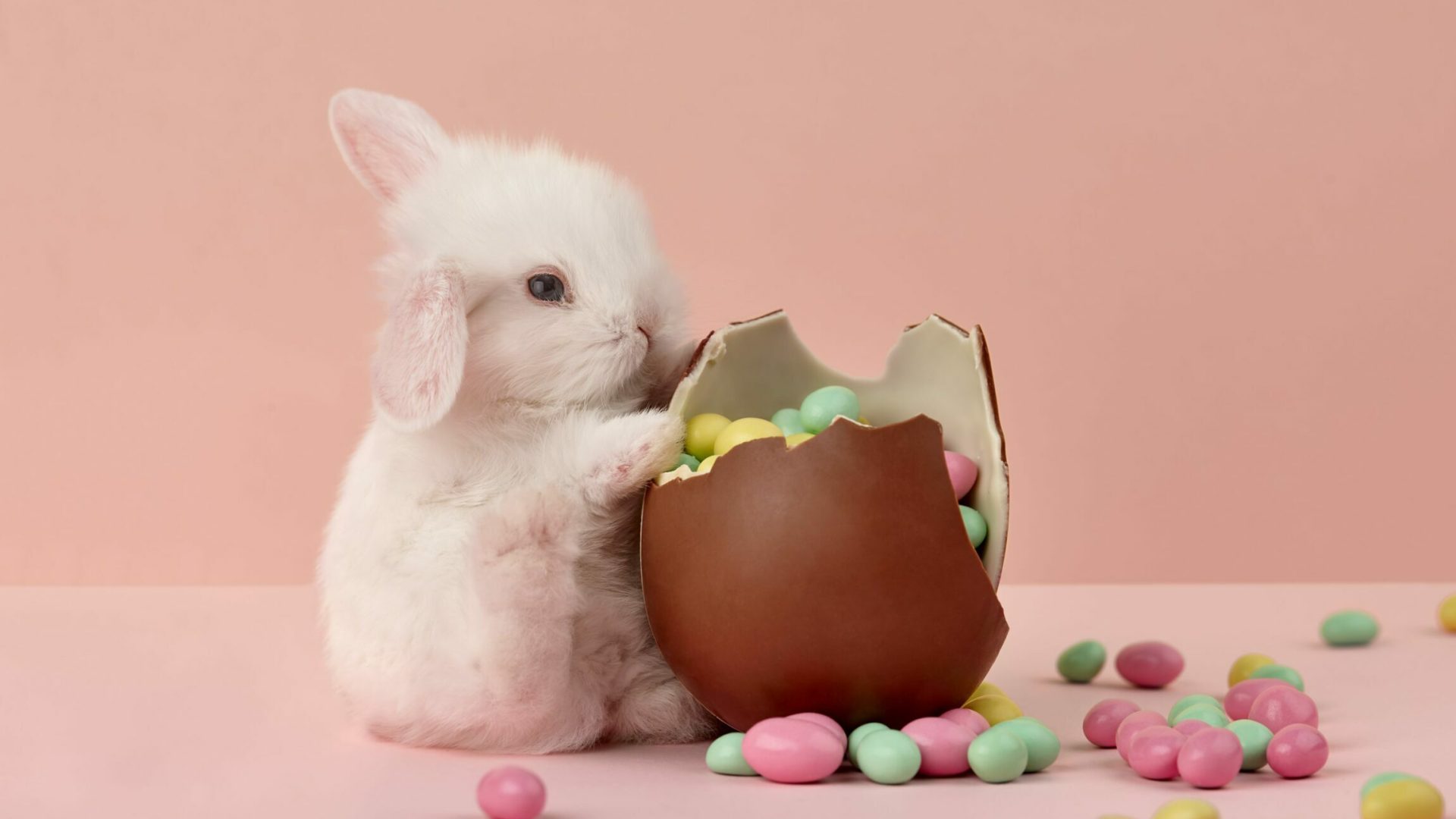 Easter bunny and chocolate